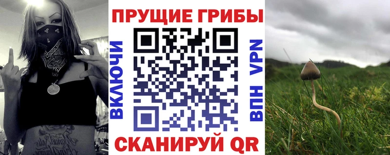 Галлюциногенные грибы прущие грибы  Купить  Ясный 